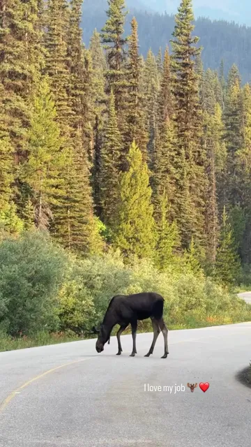 Preview of featured Moraine Lake Instagram story
