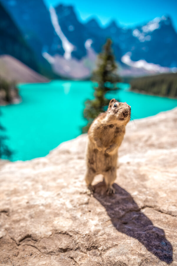 Squirrel Moraine Lake