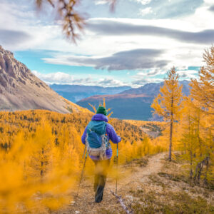 Hiking Larch Valley