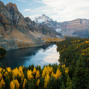 Larches, lake, and mountains